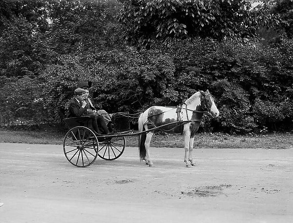 Pony cart, Belle Isle Park, Detroit, Mich. between 1900 and 1908. Creator: Unknown