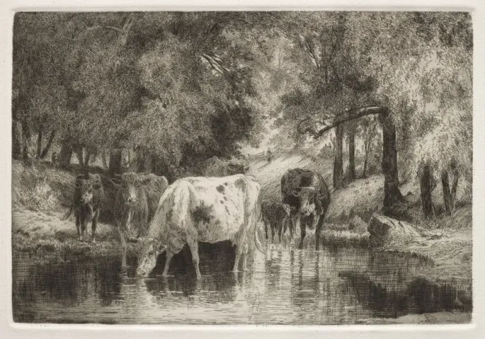 Framed Print : The Pool. Creator: Peter Moran (American, 1841-1914) Framed Print : The Pool. Creator: Peter Moran (American, 1841-1914)