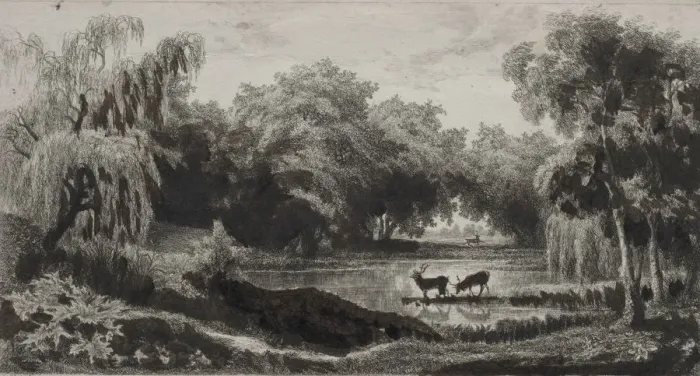 Framed Print : The Pool with Stags, 1845. Creator: Charles Francois Daubigny (French, 1817-1878) Framed Print : The Pool with Stags, 1845. Creator: Charles Francois Daubigny (French, 1817-1878)
