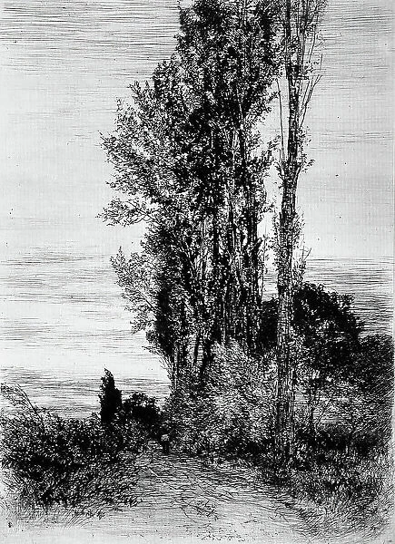 Poplars, c1898. Creator: Peter von Halm