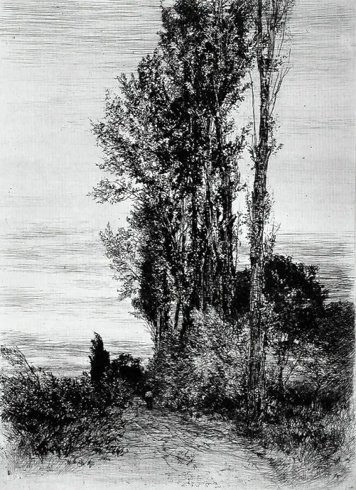 Framed Print : Poplars, c1898. Creator: Peter von Halm Framed Print : Poplars, c1898. Creator: Peter von Halm