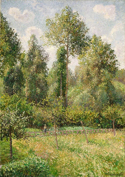 Poplars, Eragny, 1895. Creator: Camille Pissarro