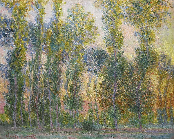 Poplars at Giverny, 1887. Artist: Monet, Claude (1840-1926)