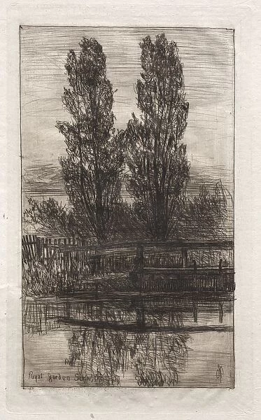 Poplars, Royal Garden, Schleissheim, 1879. Creator: Otto H. Bacher (American, 1856-1909)