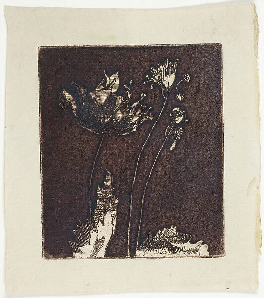 Last Poppies, 1897. Creator: Theodore Roussel