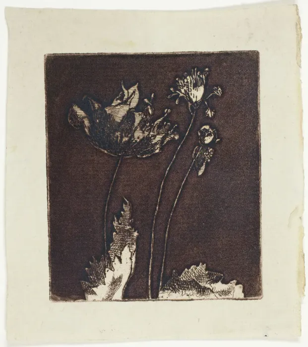 Framed Print : Last Poppies, 1897. Creator: Theodore Roussel Framed Print : Last Poppies, 1897. Creator: Theodore Roussel