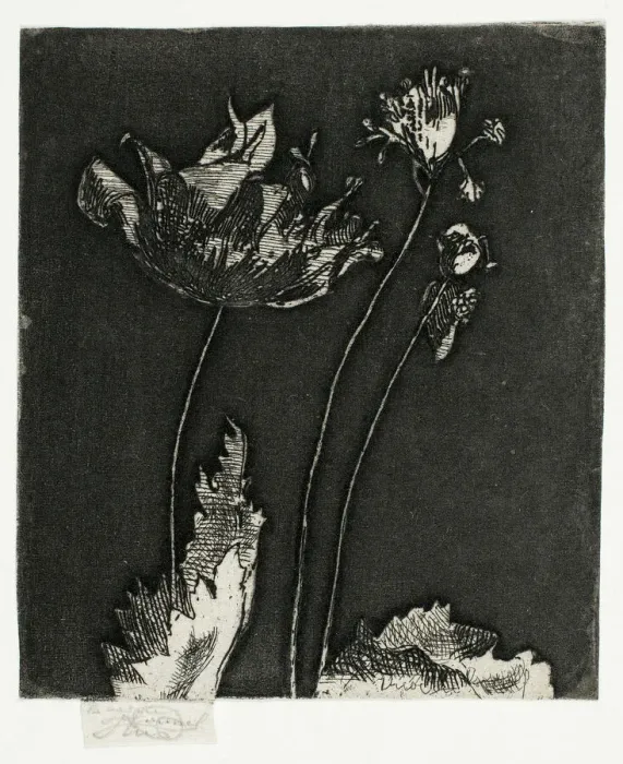 Framed Print : Last Poppies, 1897. Creator: Theodore Roussel Framed Print : Last Poppies, 1897. Creator: Theodore Roussel