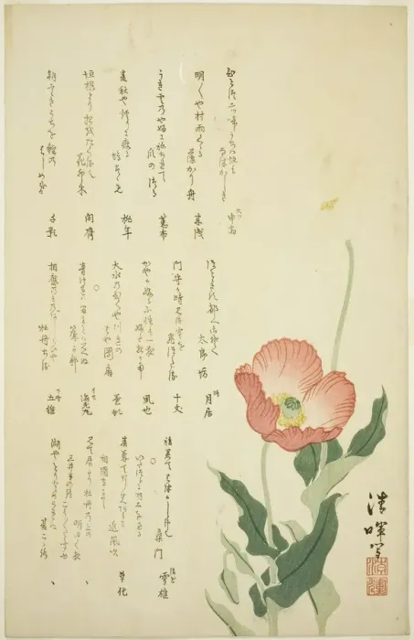 Framed Print : Two Poppies, c. early 1820s. Creator: Yokoyama Seiki Framed Print : Two Poppies, c. early 1820s. Creator: Yokoyama Seiki