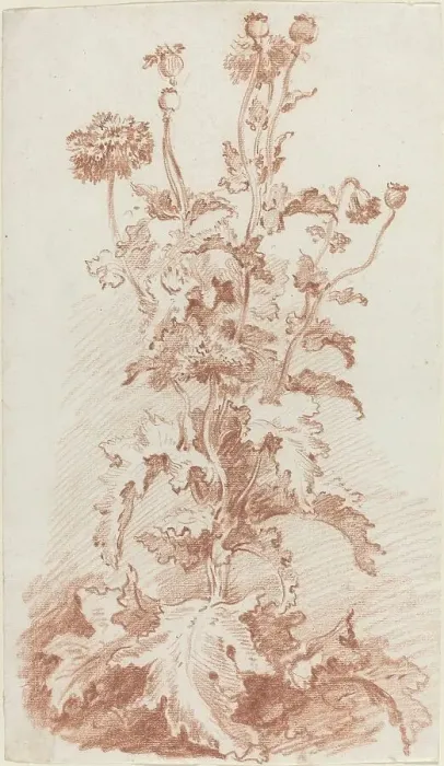 Framed Print : Poppies with Seed Pods, mid 1760s. Creator: Jean Baptiste Marie Huet Framed Print : Poppies with Seed Pods, mid 1760s. Creator: Jean Baptiste Marie Huet
