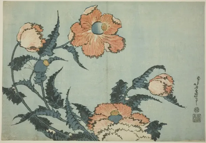 Framed Print : Poppies, from an untitled series of flowers, Japan, c. 1832. Creator: Hokusai Framed Print : Poppies, from an untitled series of flowers, Japan, c. 1832. Creator: Hokusai