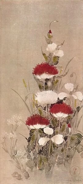 Poppies, Wheat, and Natane Flowers, 17th century. Artist: Sotatsu