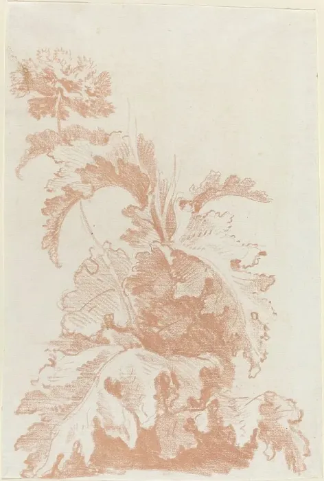 Framed Print : Poppy in Bloom, mid 1760s. Creator: Jean Baptiste Marie Huet Framed Print : Poppy in Bloom, mid 1760s. Creator: Jean Baptiste Marie Huet