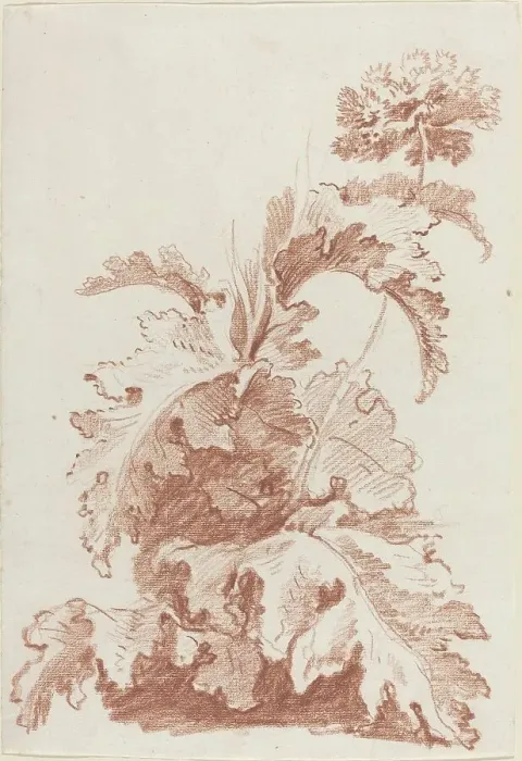 Framed Print : Poppy in Bloom, mid 1760s. Creator: Jean Baptiste Marie Huet Framed Print : Poppy in Bloom, mid 1760s. Creator: Jean Baptiste Marie Huet