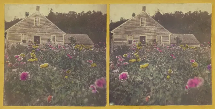Framed Print : Poppy field Cabbot Vt. about 1870. Creator: Unknown Framed Print : Poppy field Cabbot Vt. about 1870. Creator: Unknown