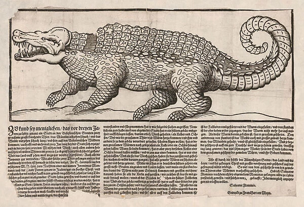 Popular print with representation of a Crocodile, 1563