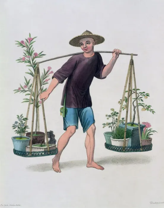 Framed Print : A Porter with Fruit Trees and Flowers, China, 1800. Artist: J Dadley Framed Print : A Porter with Fruit Trees and Flowers, China, 1800. Artist: J Dadley