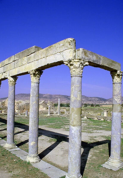 Portico of the Petronii, Thuburbo Majus, Tunisia