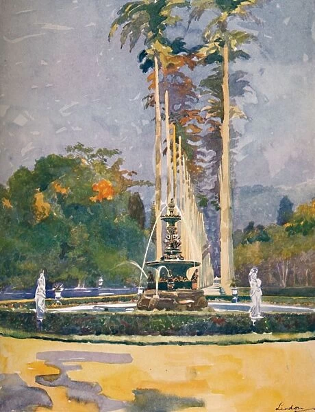 A portion of the Avenue of Royal Palms, Botanical Gardens, 1914