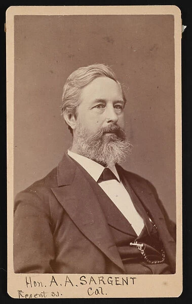 Portrait of Aaron Augustus Sargent (1827-1887), Before 1881