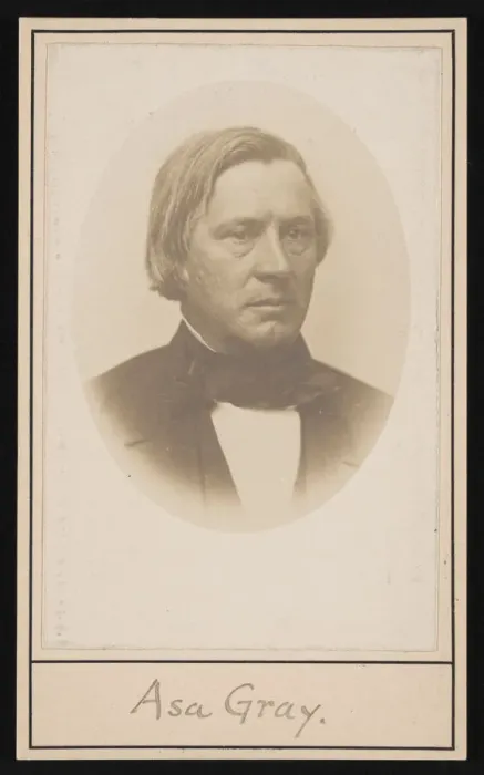 Framed Print : Portrait of Asa Gray (1810-1888), Before 1876. Creator: Unknown