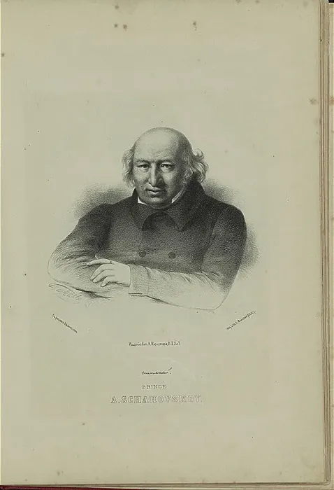 Framed Print : Portrait of the author Prince Alexander Shakhovskoi (1777-1846), 1860s. Artist: Borel, Pyotr Fyodorovich (1829-1898) Framed Print : Portrait of the author Prince Alexander Shakhovskoi (1777-1846), 1860s. Artist: Borel, Pyotr Fyodorovich (1829-1898)