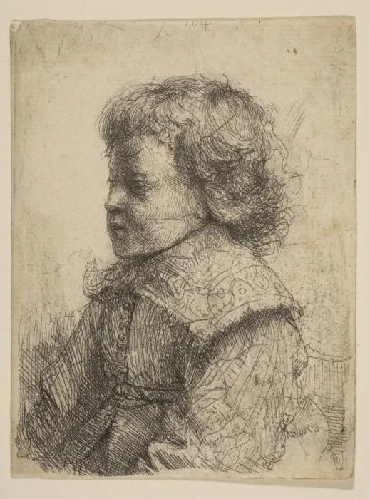 Framed Print : Portrait of a Boy, in Profile, 1641. Creator: Rembrandt Harmensz van Rijn Framed Print : Portrait of a Boy, in Profile, 1641. Creator: Rembrandt Harmensz van Rijn
