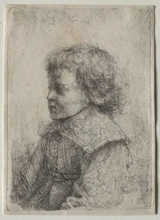 Framed Print : Portrait of a Boy in Profile, 1641. Creator: Rembrandt van Rijn (Dutch, 1606-1669) Framed Print : Portrait of a Boy in Profile, 1641. Creator: Rembrandt van Rijn (Dutch, 1606-1669)
