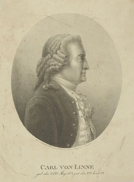 Portrait of Carl Linnaeus (1707-1778), c. 1800. Creator: Kunike, Adolph Friedrich (1777-1838)