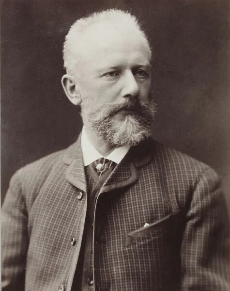Portrait of the composer Pyotr Ilyich Tchaikovsky (1840-1893), 1887