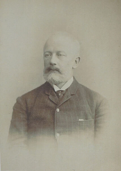 Portrait of the composer Pyotr Ilyich Tchaikovsky (1840-1893), End of 1880s