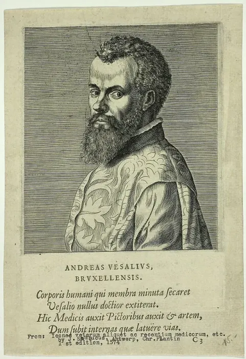 Framed Print : Portrait of Doctor Andreas Vesalius of Brussels, published 1574. Creators: Unknown, Johannes Sambucus Framed Print : Portrait of Doctor Andreas Vesalius of Brussels, published 1574. Creators: Unknown, Johannes Sambucus