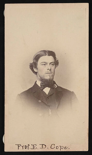 Portrait of Edward Drinker Cope (1840-1897), Circa 1860s. Creator: Unknown