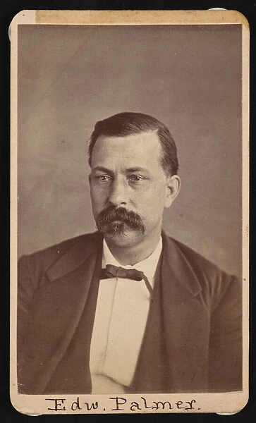 Portrait of Edward Palmer (1829-1911), Before 1900. Creator: Thomas William Smillie