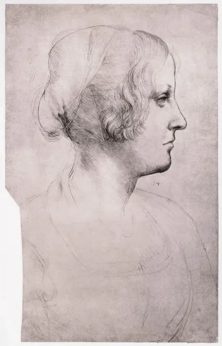 Framed Print : Portrait of a Girl with a Cap, 1493-1495. Artist: Leonardo da Vinci Framed Print : Portrait of a Girl with a Cap, 1493-1495. Artist: Leonardo da Vinci