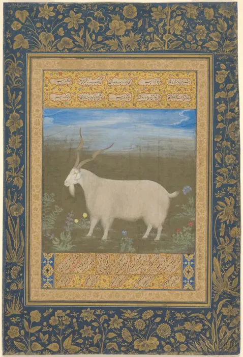Framed Print : Portrait of a Ladakhi Mountain Goat, about 1600. Creator: Unknown Framed Print : Portrait of a Ladakhi Mountain Goat, about 1600. Creator: Unknown