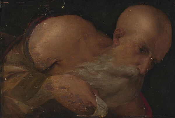Portrait of a Man, 16th century. Creator: Benvenuto Tisi da Garofalo