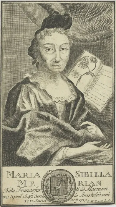 Framed Print : Portrait of Maria Sibylla Merian (1647-1717), 1755. Creator: Anonymous Framed Print : Portrait of Maria Sibylla Merian (1647-1717), 1755. Creator: Anonymous