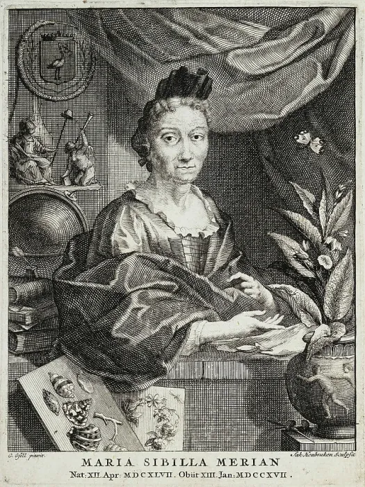 Framed Print : Portrait of Maria Sibylla Merian (1647-1717), 1717. Creator: Gsell, Georg (1673-1740) Framed Print : Portrait of Maria Sibylla Merian (1647-1717), 1717. Creator: Gsell, Georg (1673-1740)