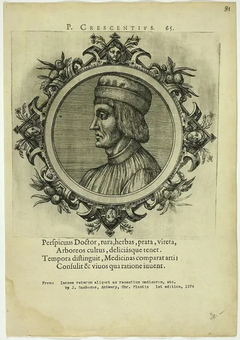 Framed Print : Portrait of P. Crescentius, published 1574. Creators: Unknown, Johannes Sambucus Framed Print : Portrait of P. Crescentius, published 1574. Creators: Unknown, Johannes Sambucus