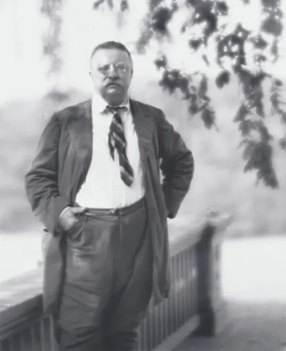 Framed Print : Portrait photograph of Theodore Roosevelt, 1916 Sept. 8. Creator: Arnold Genthe Framed Print : Portrait photograph of Theodore Roosevelt, 1916 Sept. 8. Creator: Arnold Genthe