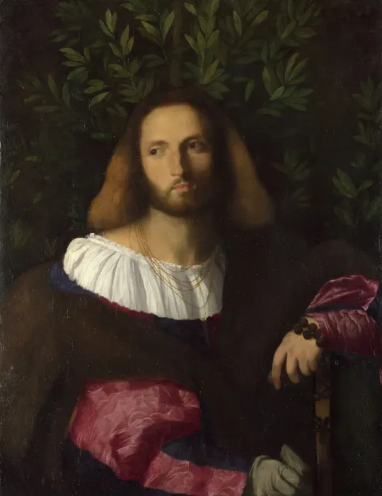 Framed Print : Portrait of a Poet (Ludovico Ariosto), c. 1516. Artist: Palma il Vecchio, Jacopo, the Elder (1480-1528) Framed Print : Portrait of a Poet (Ludovico Ariosto), c. 1516. Artist: Palma il Vecchio, Jacopo, the Elder (1480-1528)
