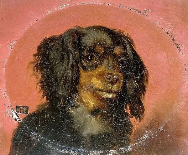 Portrait of a Puppy, 1850-1891. Creator: Guillaume Anne van der Brugghen