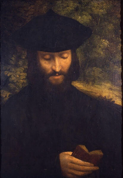 Portrait of a reading man, ca 1522