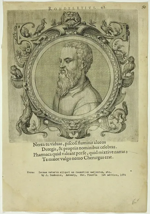 Framed Print : Portrait of Rondeletius, published 1574. Creators: Unknown, Johannes Sambucus Framed Print : Portrait of Rondeletius, published 1574. Creators: Unknown, Johannes Sambucus