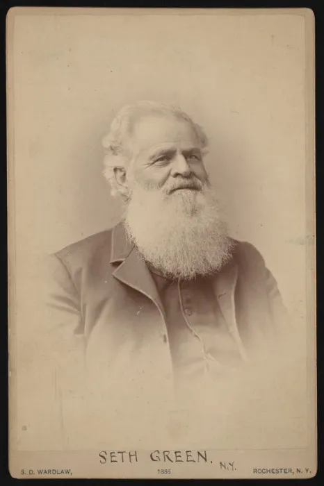 Framed Print : Portrait of Seth Green (1817-1888), 1886. Creator: Samuel D Wardlaw Framed Print : Portrait of Seth Green (1817-1888), 1886. Creator: Samuel D Wardlaw