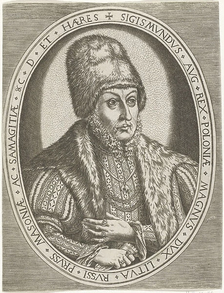 Portrait of Sigismund II Augustus (1520-1572), King of Poland, ca 1560-1565