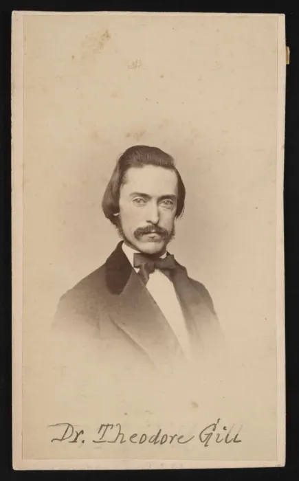 Framed Print : Portrait of Theodore Nicholas Gill (1837-1914), Circa 1860s. Creator: Unknown Framed Print : Portrait of Theodore Nicholas Gill (1837-1914), Circa 1860s. Creator: Unknown