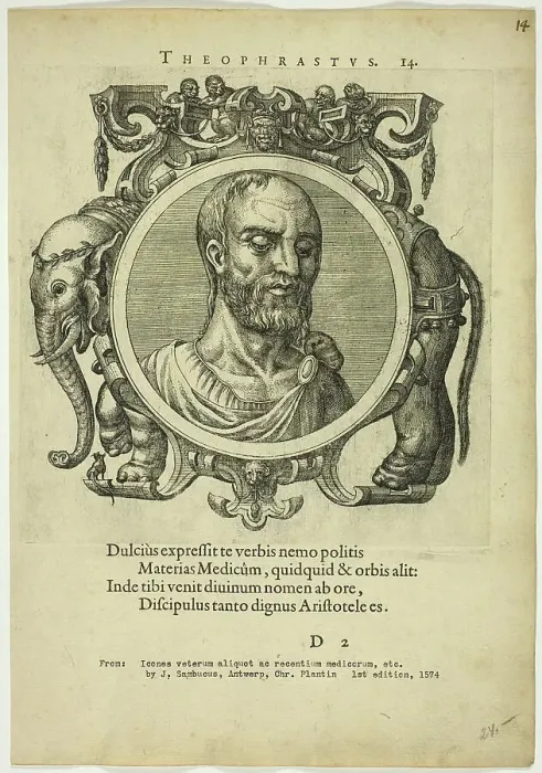 Framed Print : Portrait of Theophrastus, published 1574. Creators: Unknown, Johannes Sambucus Framed Print : Portrait of Theophrastus, published 1574. Creators: Unknown, Johannes Sambucus