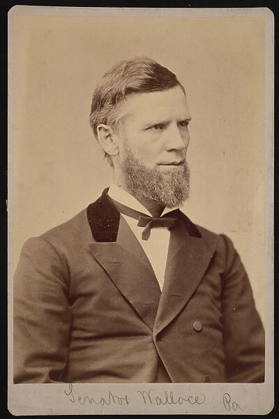 Portrait of William Andrew Wallace (1827-1896), Between 1876 and 1880