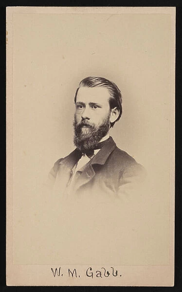 Portrait of William More Gabb (1839-1878), 1864-1865. Creator: Silas Wright Selleck